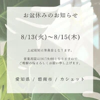 ブログ
