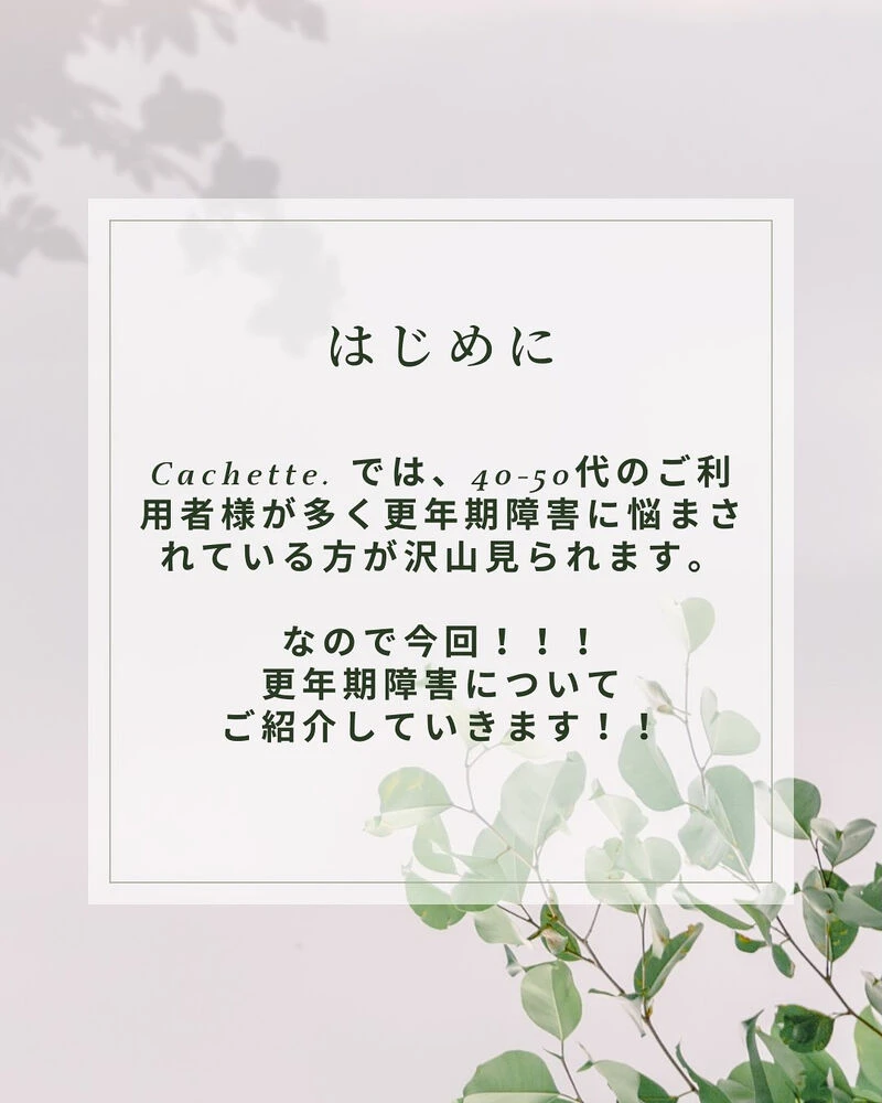ブログ